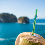 Glass Straw - Sky Blue Gecko On Green Straight Glass Straw
