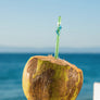 Glass Straw - Sky Blue Gecko On Green Straight Glass Straw