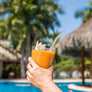Glass Straws - Clear Bent Glass Straws Pack Of 4