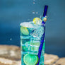 Glass Straws - Sky Blue Turtle On Blue Straight Straw