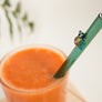 Glass Straws - Teal Turtle On Teal Straight Glass Straw
