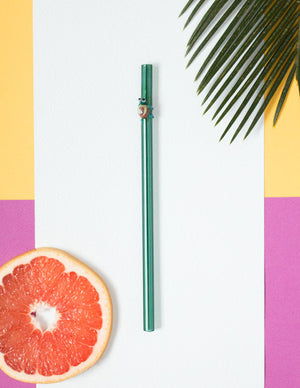 Glass Straws - Teal Turtle On Teal Straight Glass Straw
